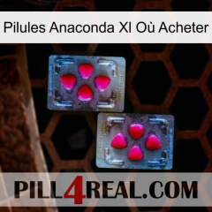 Pilules Anaconda Xl Où Acheter 15